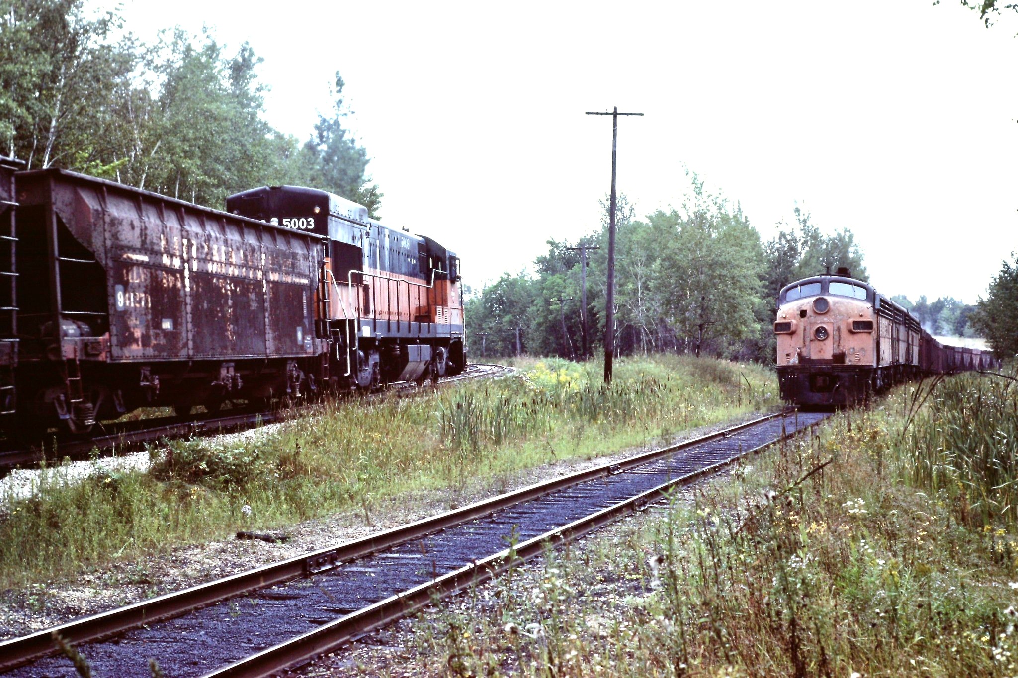 MILW trains at Groveland Junction